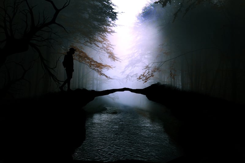 Journey to the Unknown